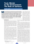 Toxic Metals in the Environment: The Role of Surfaces