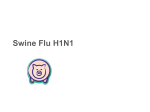 Swine Flu H1N1