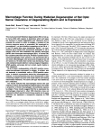 Macrophage Function During Wallerian Degeneration of Rat Optic