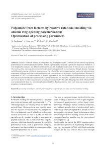 Polyamide from lactams by reactive rotational molding via anionic