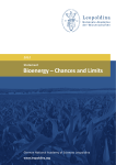 Bioenergy – Chances and Limits