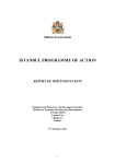 implementation report - UN