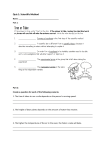 QUIZ 1 - SCIENTIFIC METHOD