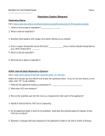 HANDOUT-Respiratory-System-Webquest