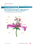 making sense worksheet