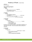 Student Notes 1 anatomy of plants