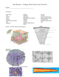 Test Review plant structure