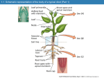 Plant Physiol-4th-Ch01
