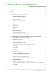 Answers to EPQ questions 3 Nucleic acids and protein synthesis