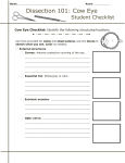 Cows eye dissection STUDENT SHEET v2