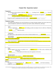 Chapter16 Respiratory System