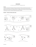 32-Immunity-S.en.it