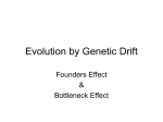 Genetic Drift Slides