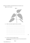 Plant Disease 1 QP 26.1.22