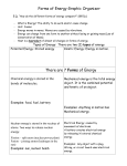 forms of energy graphic organizer completed