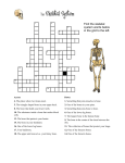 skeletal system crossword1 (1)