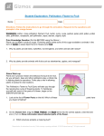 PollinationFlowerFruitStudent (3)