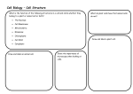 Cell Biology - Cell Structure Worksheet