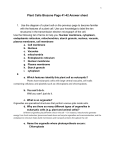 Aleksia Prifti - 7.2 - Biozone - Plant Cells Worksheet