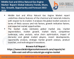 Middle East and Africa Natural Gas Engine Market PPT-Chemical Material