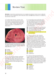 BRS Pathology Q and A