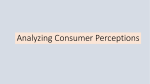 Analyzing Consumer Perceptions