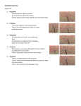 Sb Vid lec - Mitosis vs. Meiosis