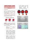 zoo-lab-notes-module-3