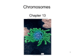 Chapter 13 - IRSC Biology Department