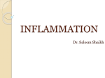 week 4-5 inflammation