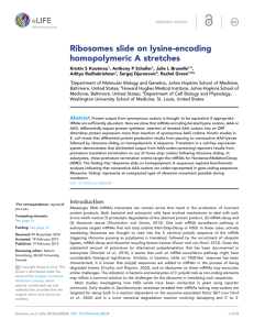 Ribosomes slide on lysine-encoding homopolymeric A stretches
