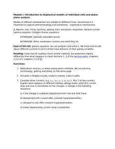 Module I. Introduction to biophysical models of individual cells and... plane analysis important to capture phenomenology and sometimes – biophysical mechanisms