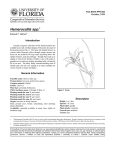 Hemerocallis spp. Introduction October, 1999 Fact Sheet FPS-252