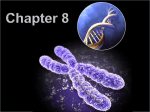 Mitosis Meiosis Notes