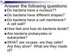 Bacteria