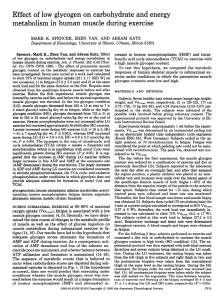 Effect  of  low  glycogen  on ... metabolism  in  human  muscle  during ...