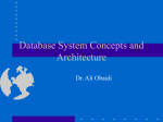 Database System Concepts and Architecture