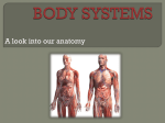body systems - lderewal