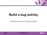 Build a bug activity Salmonella