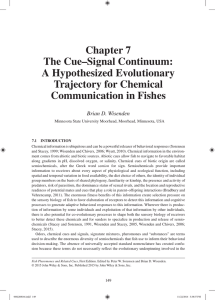 Chapter 7 the Cue–Signal Continuum