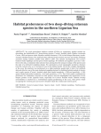 Habitat preferences of two deep-diving cetacean species in the