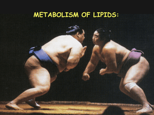06_Metabolism of lipid