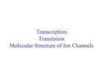 Transcription Translation Molecular Structure of Ion Channels