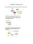 IB BIOLOGY: Respiration Notes - NatronaBiology-IB2