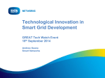 Technological Innovation in Smart Grid Development