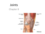 Joints Chapter 8