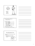 Descending Spinal Tracts