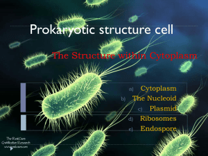 The Structure within Cytoplasm