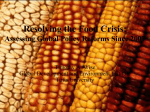 Resolving the Food Crisis: Assessing Global Policy Reforms Since 2007