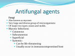 H. Antifungal agents